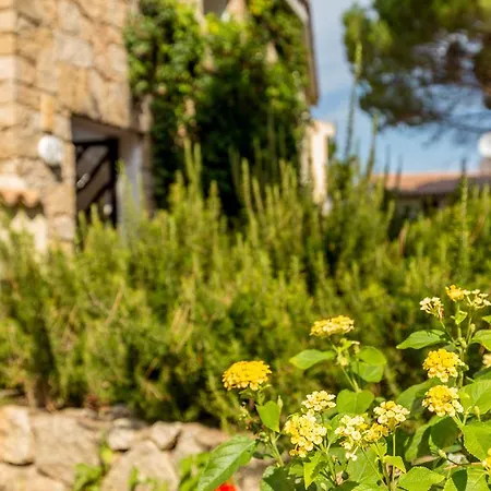 Aparthotel Pineta 1 Arzachena